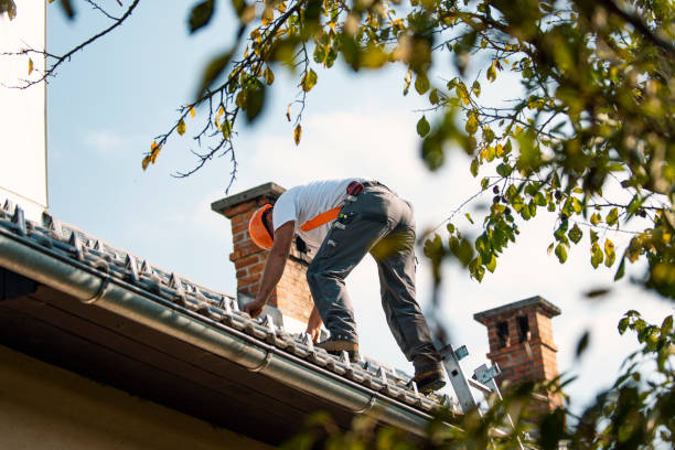 Best Gutter Installation and Roofing  in Eagle Lake, WI
