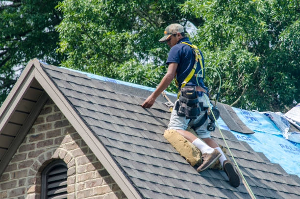 Best Roof Repair Services  in Eagle Lake, WI